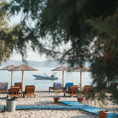 Отель Seaside 4*